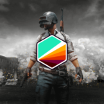 PUBG Report